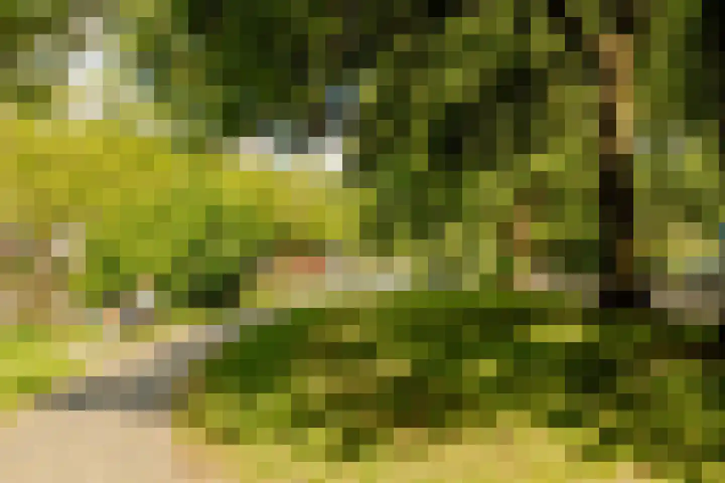 Lijnbaansgracht 322 H Amsterdam thumbnail 36