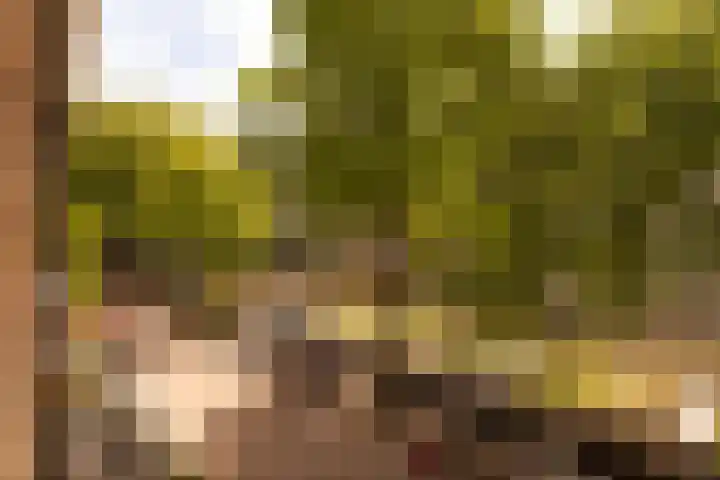 Lijnbaansgracht 326 A Amsterdam thumbnail 10