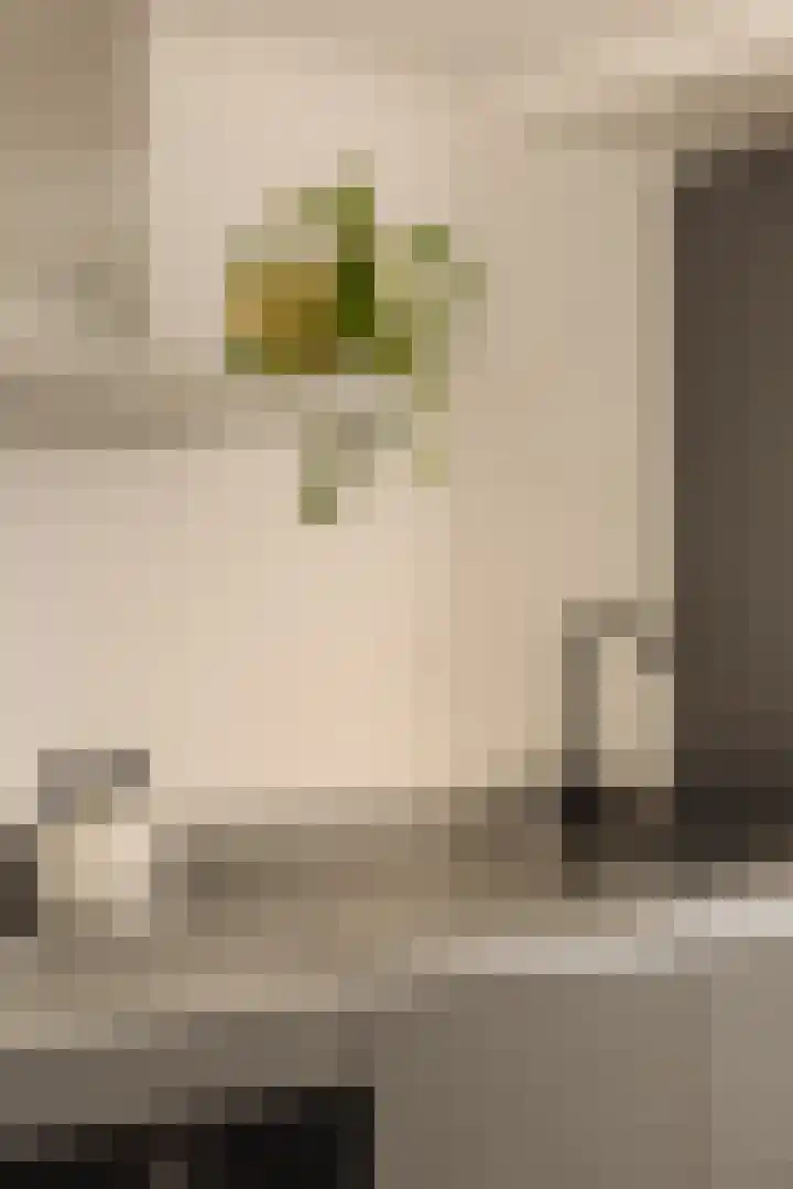 Lijnbaansgracht 326 A Amsterdam thumbnail 12