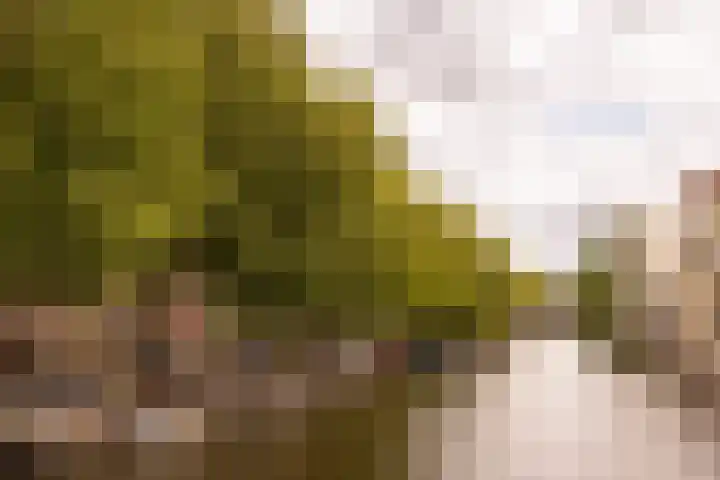 Lijnbaansgracht 326 A Amsterdam thumbnail 20