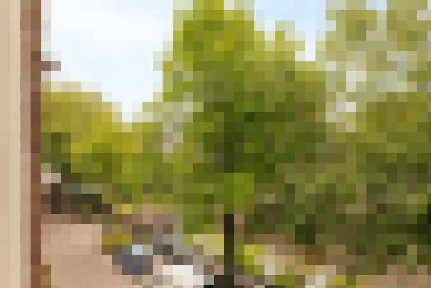 Lijnbaansgracht 326 C Amsterdam thumbnail 17
