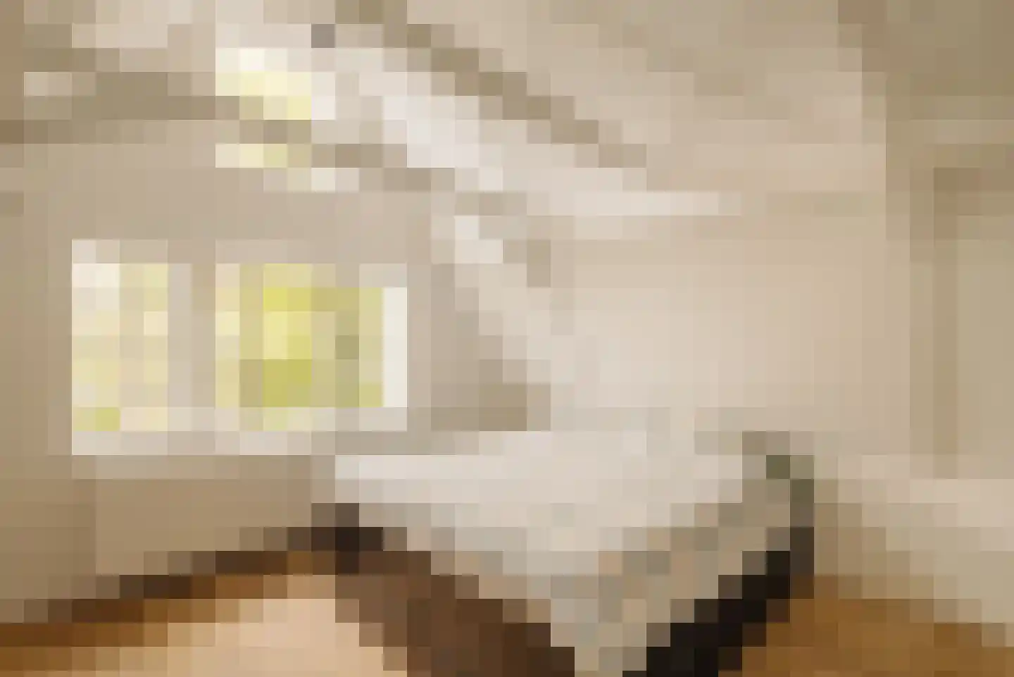 Lijnbaansgracht 326 C Amsterdam thumbnail 18