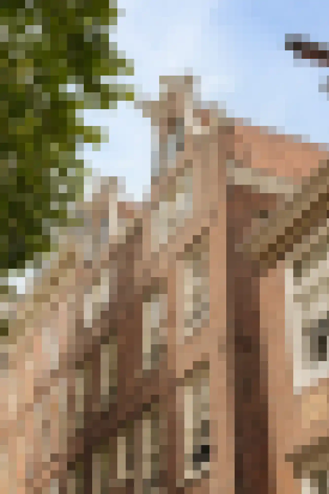 Lijnbaansgracht 326 C Amsterdam thumbnail 32