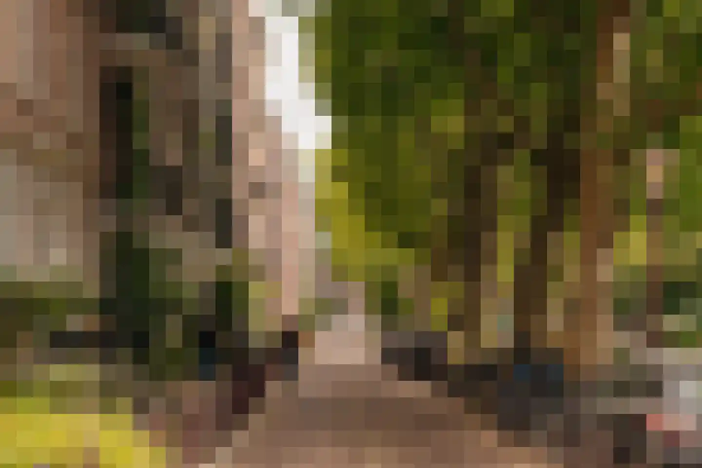 Lijnbaansgracht 326 C Amsterdam thumbnail 33