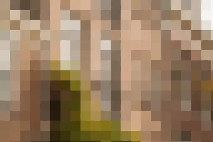 Lijnbaansgracht 337 2 Amsterdam thumbnail 16