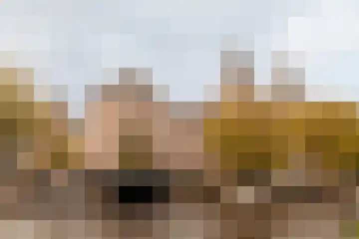 Lijnbaansgracht 337 2 Amsterdam thumbnail 17
