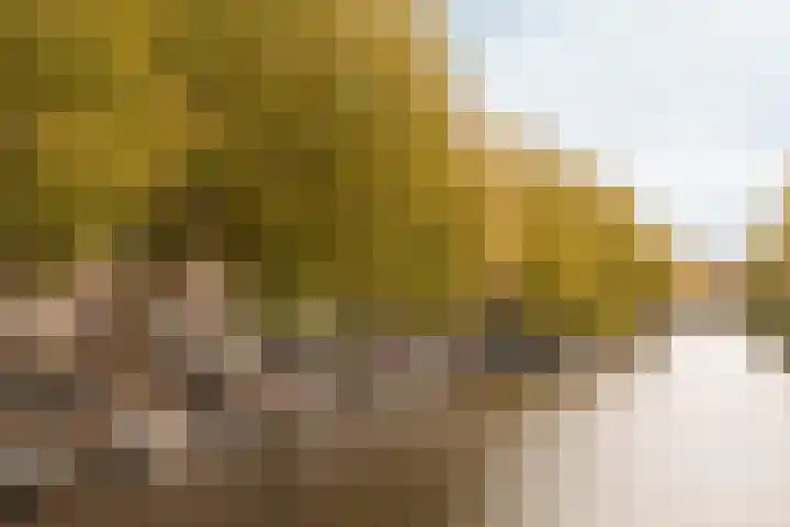 Lijnbaansgracht 337 2 Amsterdam thumbnail 19