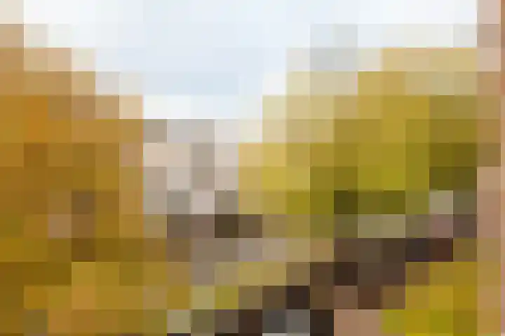 Lijnbaansgracht 337 2 Amsterdam thumbnail 5