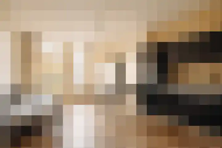 Lijnbaansgracht 337 2 Amsterdam thumbnail 6