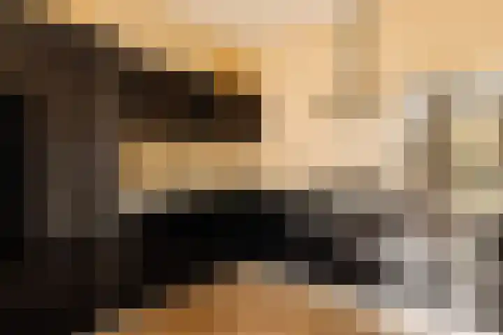 Lijnbaansgracht 337 2 Amsterdam thumbnail 7