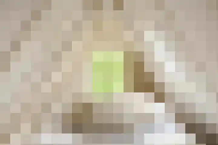 Lijnbaansgracht 341 D Amsterdam thumbnail 33