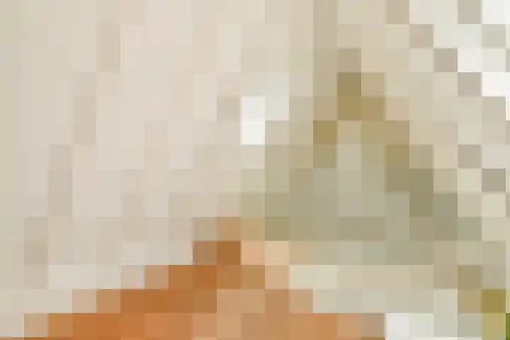 Lijnbaansgracht 341 D Amsterdam thumbnail 34