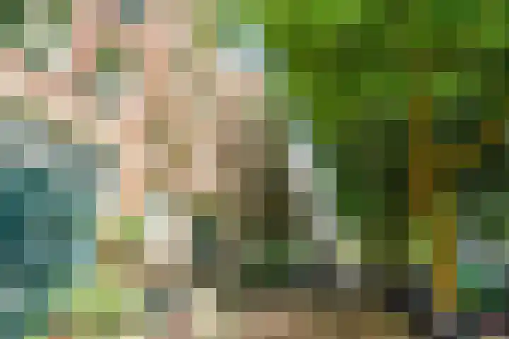 Lijnbaansgracht 341 D Amsterdam thumbnail 37
