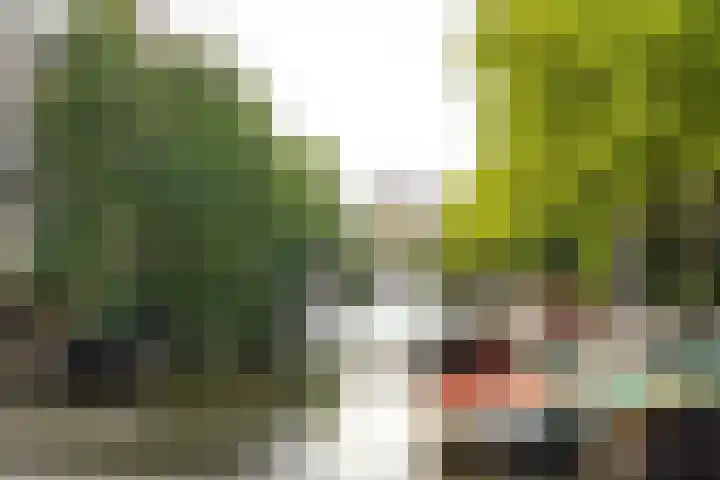 Lijnbaansgracht 341 D Amsterdam thumbnail 39