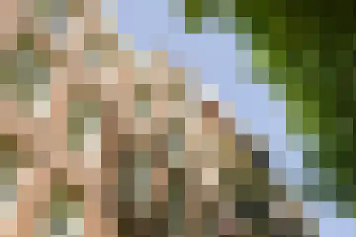 Lijnbaansgracht 341 D Amsterdam thumbnail 40
