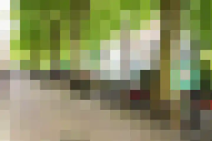 Lijnbaansgracht 341 D Amsterdam thumbnail 42