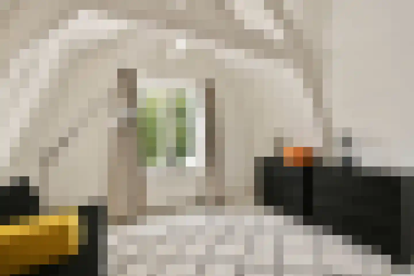 Lijnbaansgracht 348 3 Amsterdam thumbnail 16