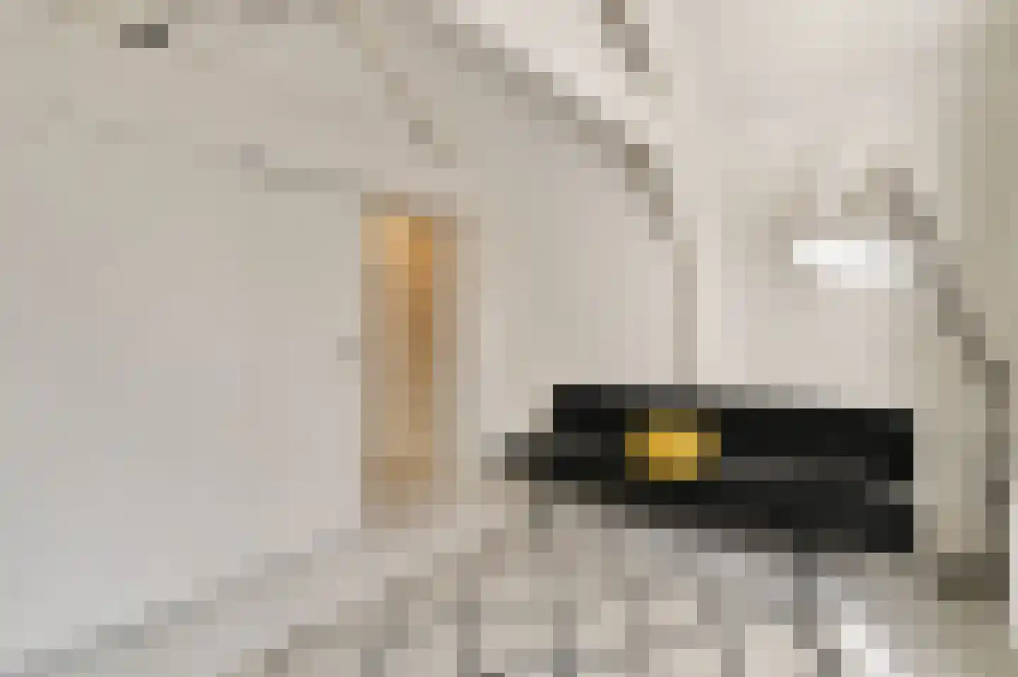 Lijnbaansgracht 348 3 Amsterdam thumbnail 17