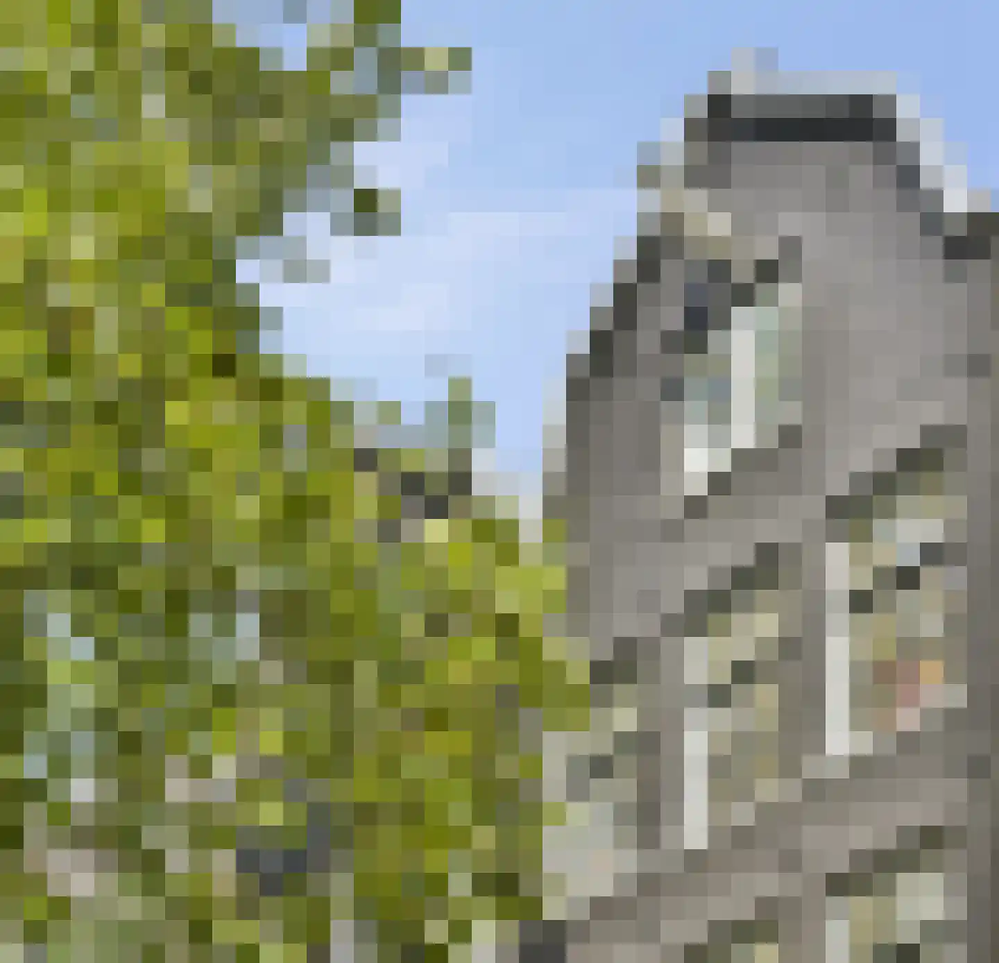 Lijnbaansgracht 348 3 Amsterdam thumbnail 5