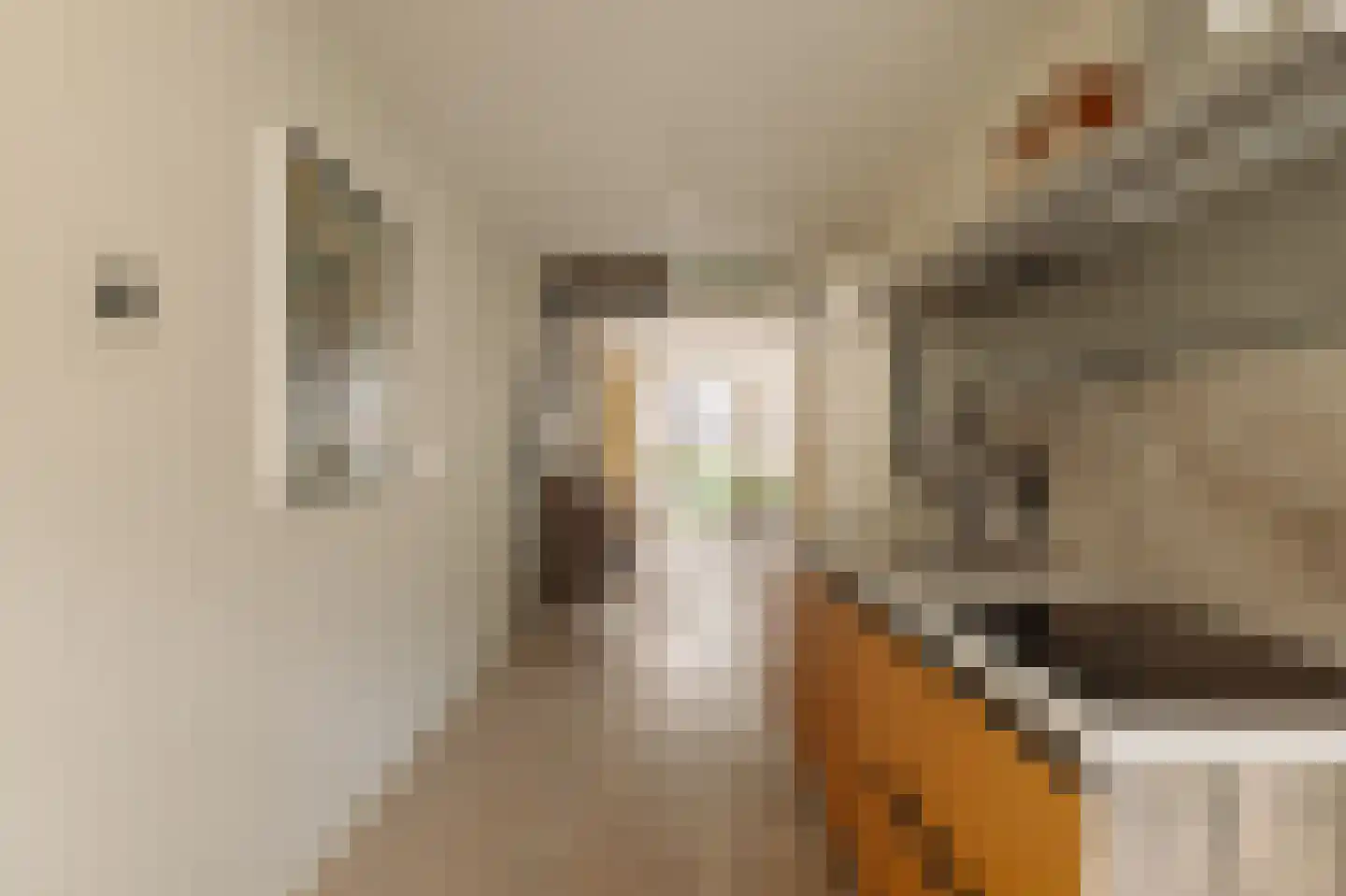 Lijnbaansgracht 369 L Amsterdam thumbnail 11