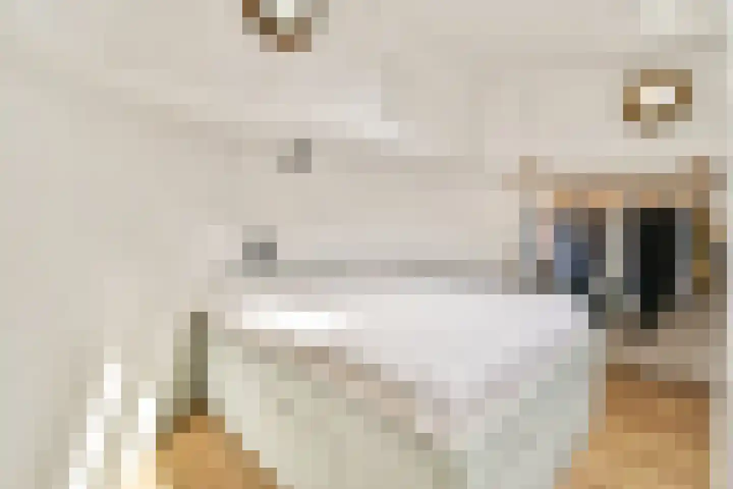 Lijnbaansgracht 51 Amsterdam thumbnail 11