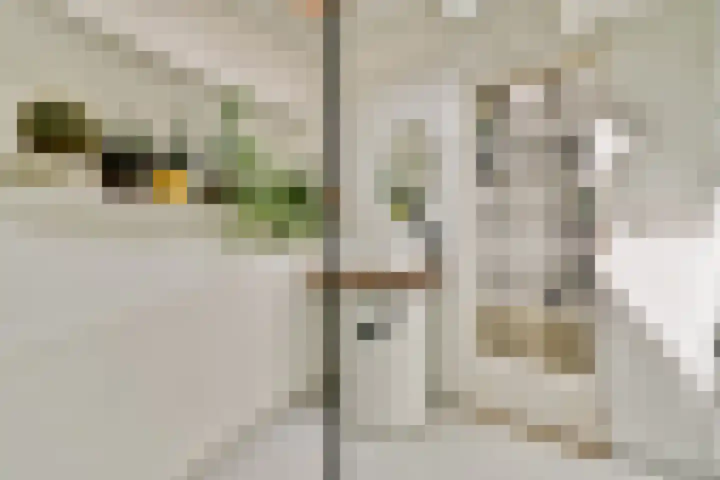 Lijnbaansgracht 51 Amsterdam thumbnail 14
