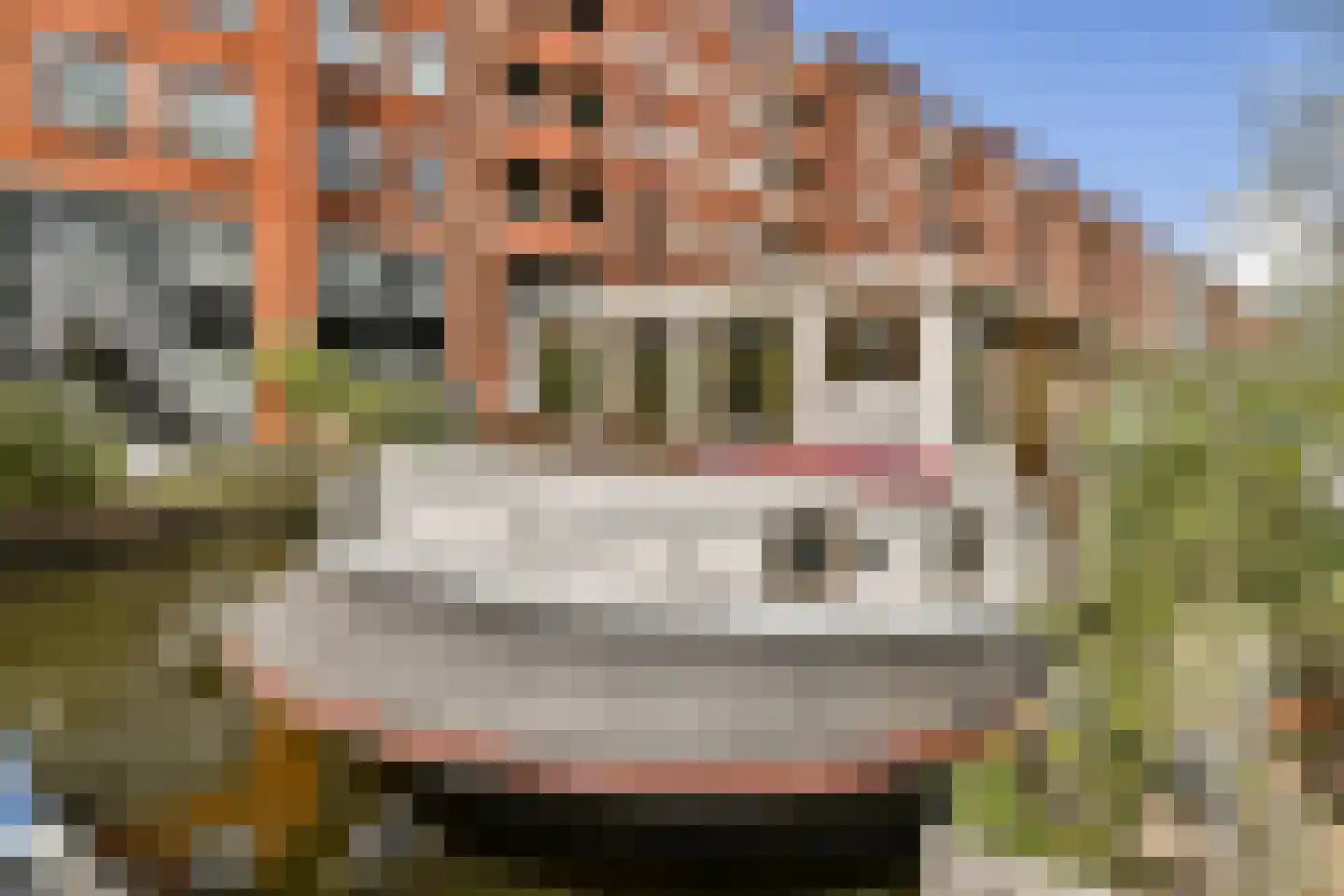 Lijnbaansgracht 51 Amsterdam thumbnail 19