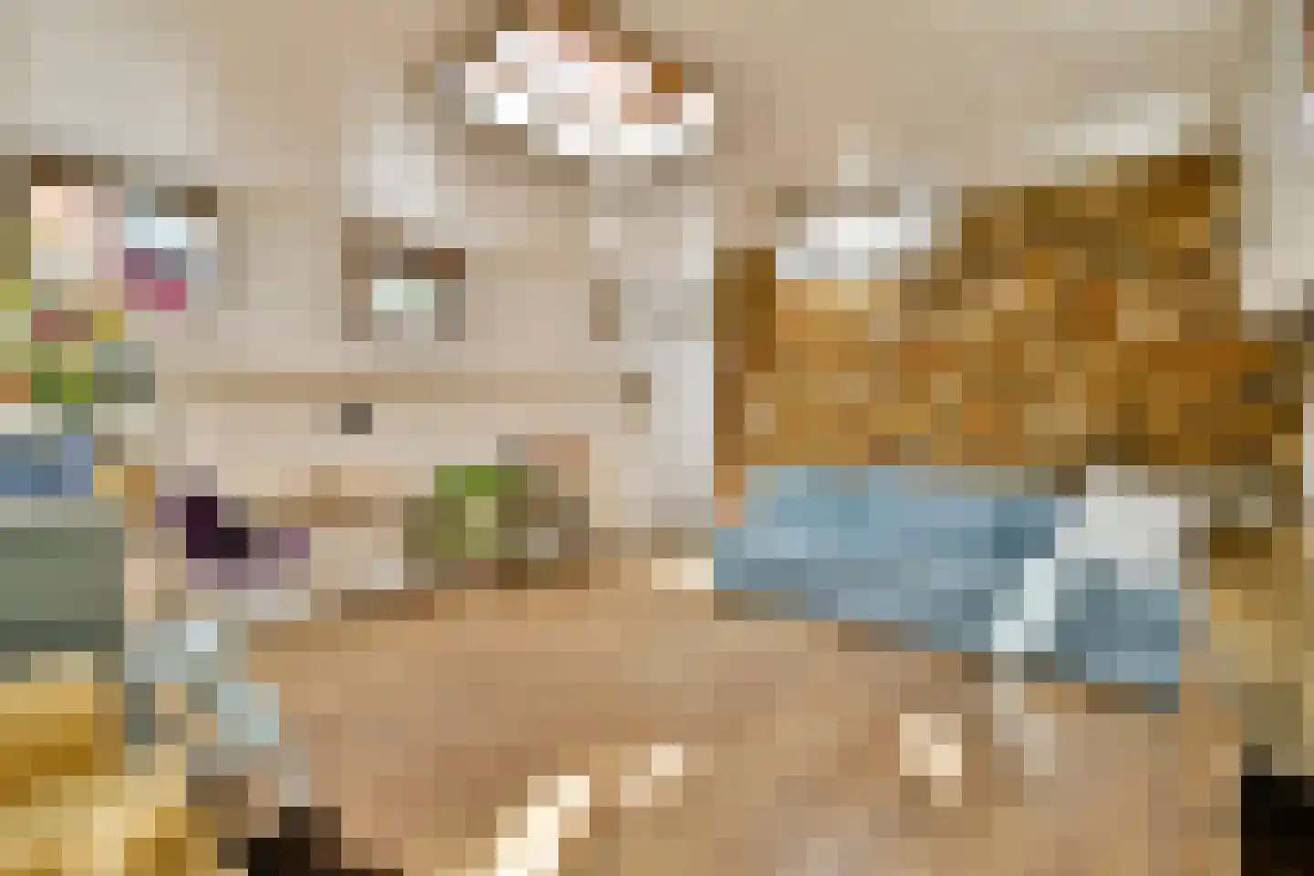 Lijnbaansgracht 51 Amsterdam thumbnail 8