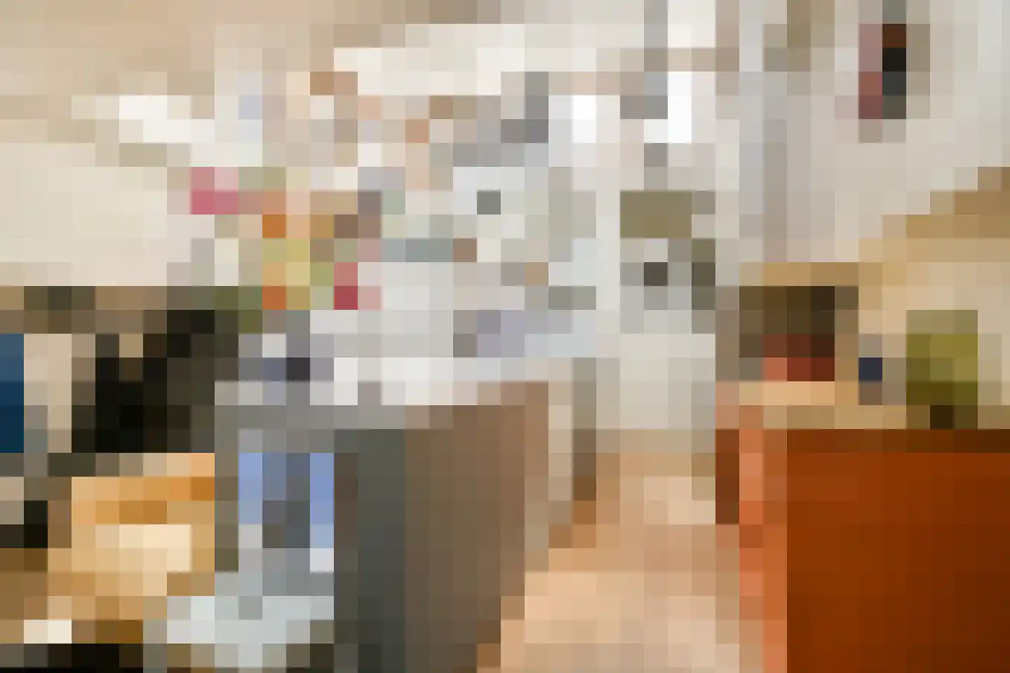 Lijnbaansgracht 51 Amsterdam thumbnail 9