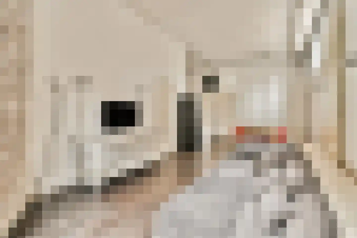 Lijnbaansgracht 54 H Amsterdam thumbnail 5