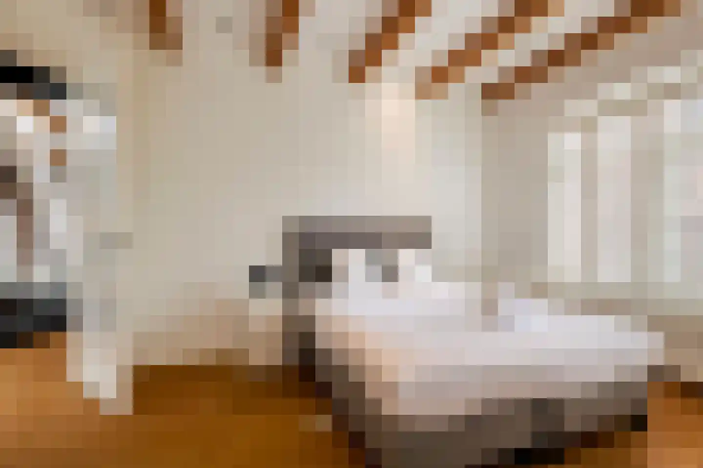 Lijnbaansgracht 56 E Amsterdam thumbnail 20