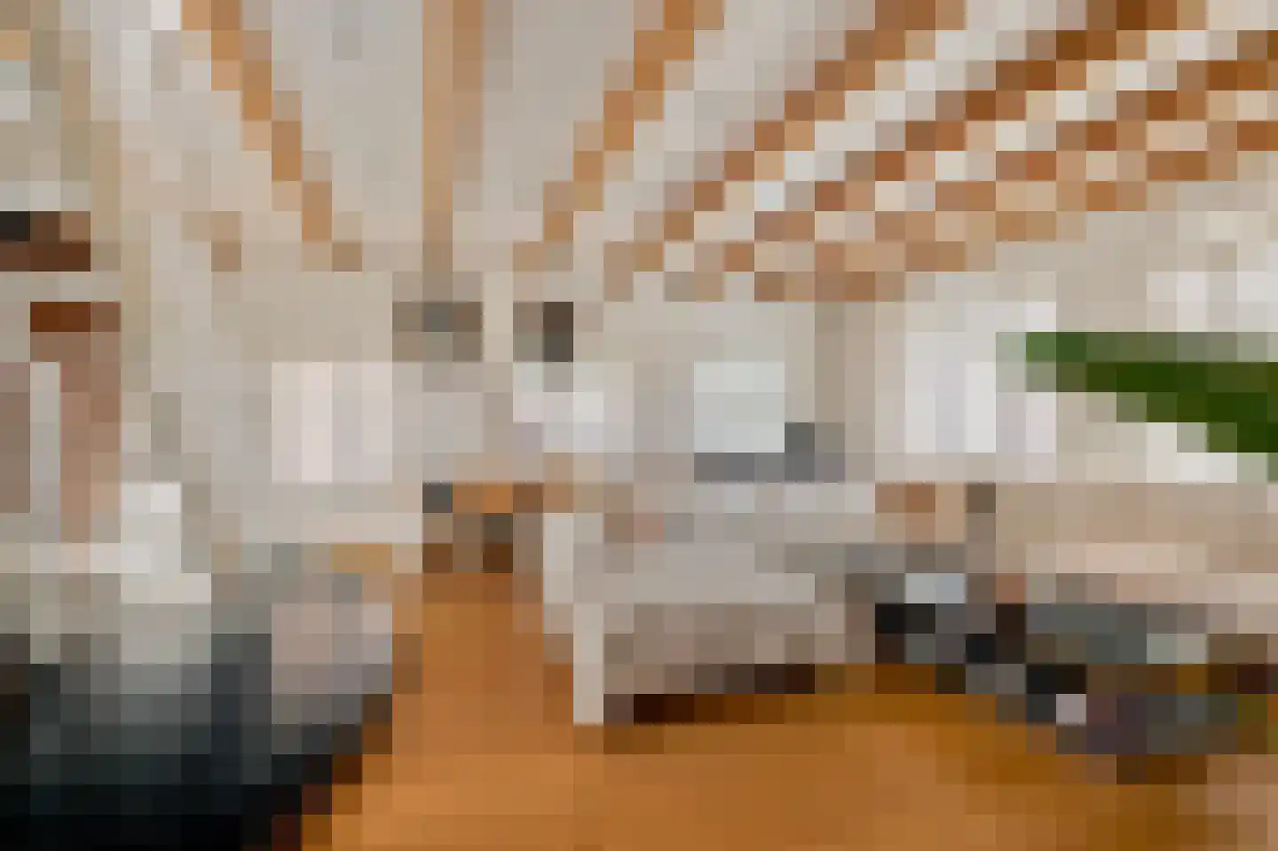 Lijnbaansgracht 56 E Amsterdam thumbnail 7