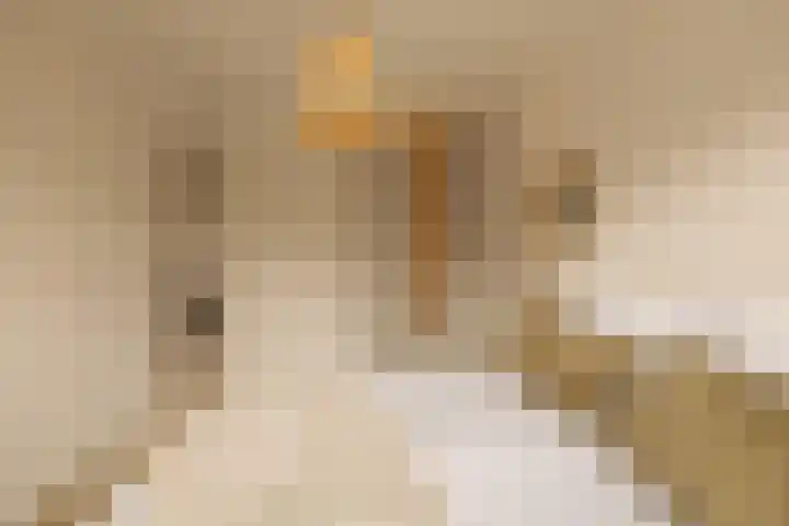 Lijnbaansgracht 58 B 2 Amsterdam thumbnail 7