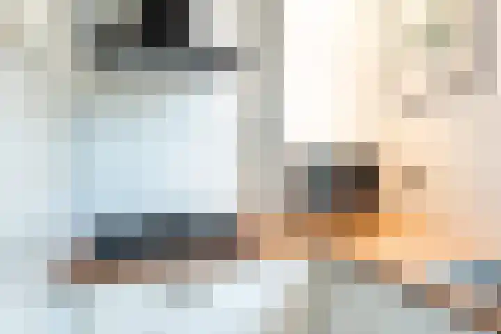 Lijnbaansgracht 66 H Amsterdam thumbnail 13