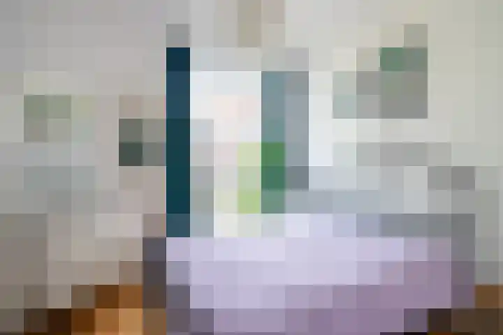 Lijnbaansgracht 66 H Amsterdam thumbnail 18