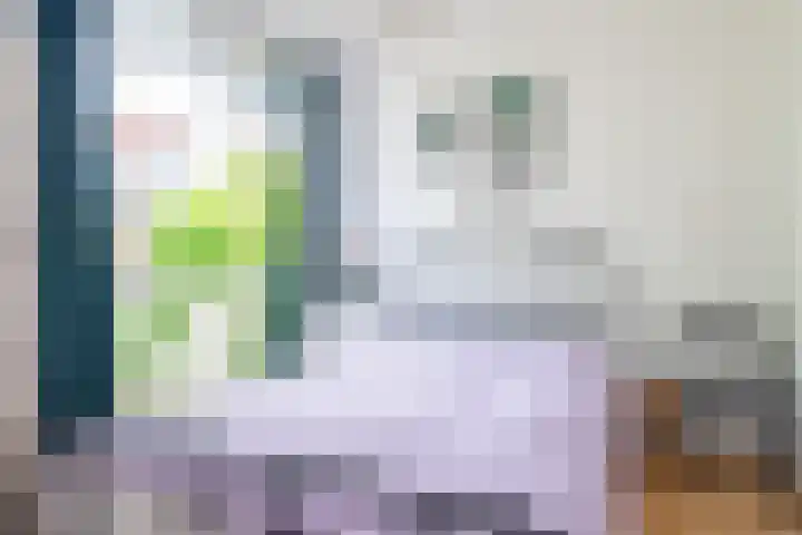 Lijnbaansgracht 66 H Amsterdam thumbnail 19