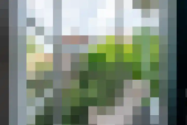 Lijnbaansgracht 66 H Amsterdam thumbnail 21
