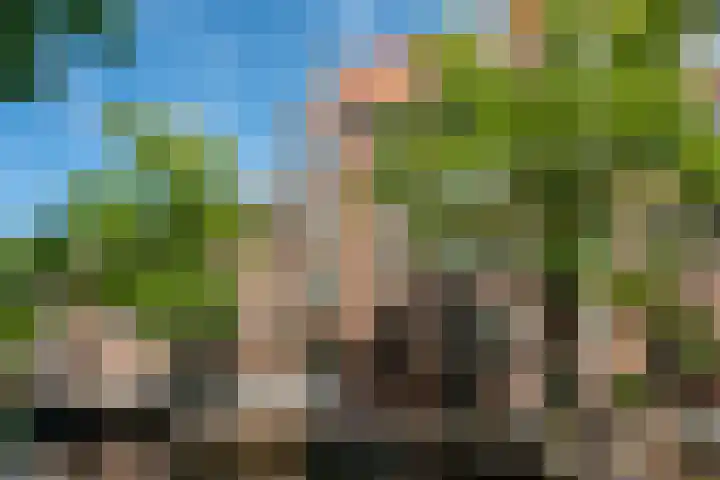 Lijnbaansgracht 66 H Amsterdam thumbnail 33