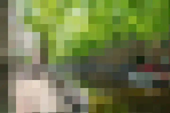 Lijnbaansgracht 66 H Amsterdam thumbnail 37