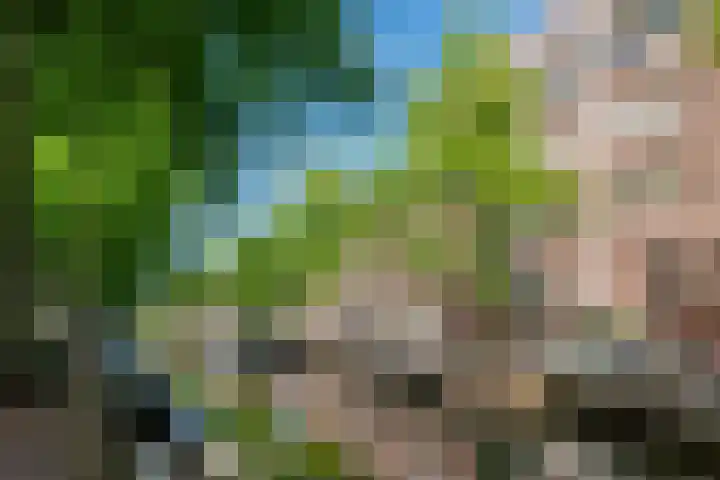 Lijnbaansgracht 66 H Amsterdam thumbnail 38