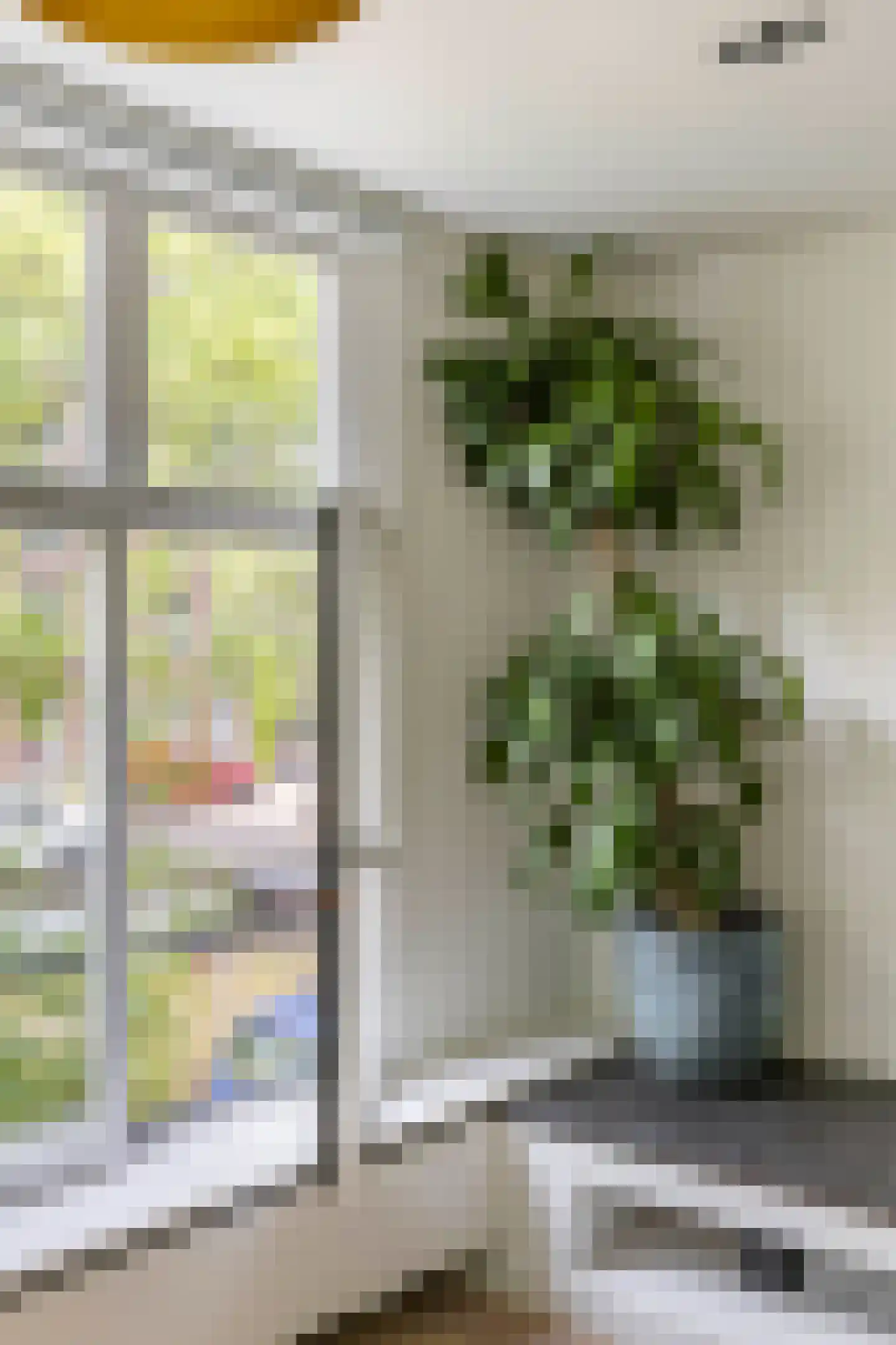 Lijnbaansgracht 81 Amsterdam thumbnail 14