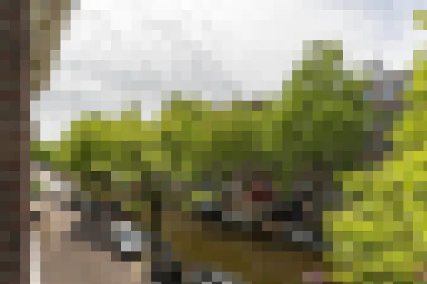 Lijnbaansgracht 81 Amsterdam thumbnail 15
