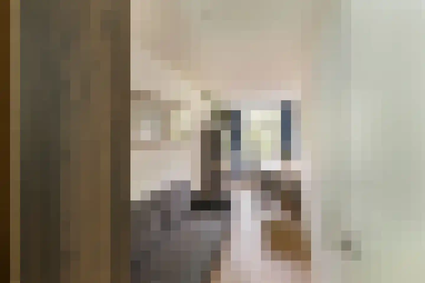 Lijnbaansgracht 81 Amsterdam thumbnail 17