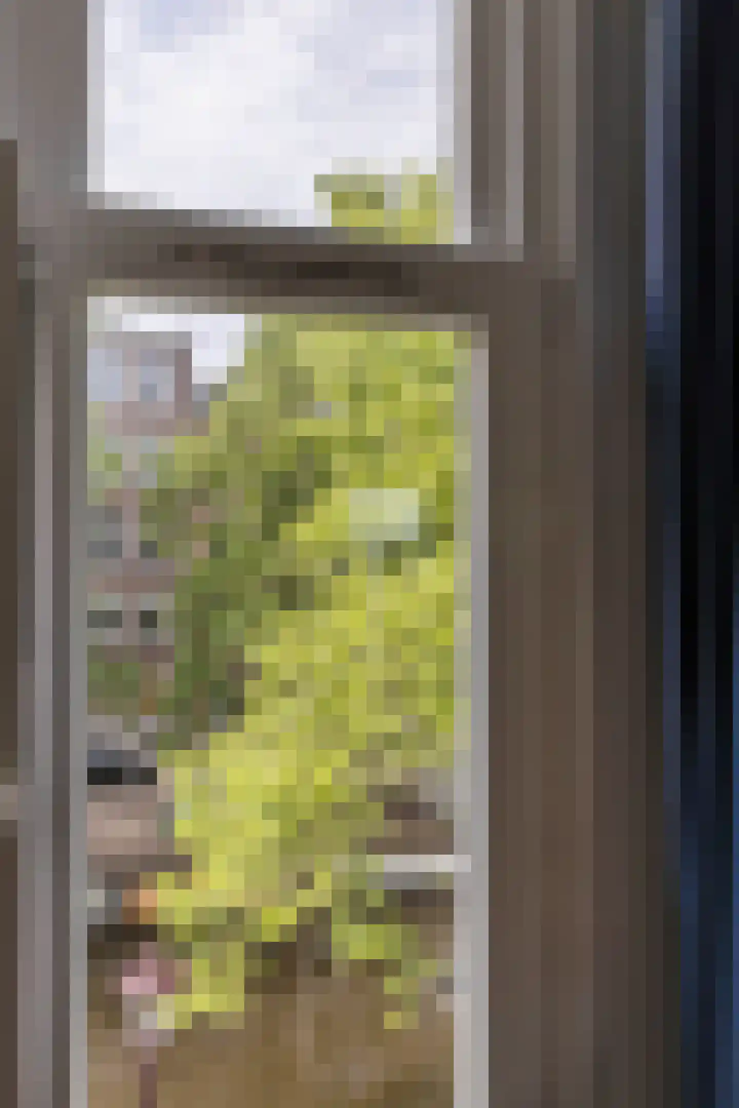Lijnbaansgracht 81 Amsterdam thumbnail 18
