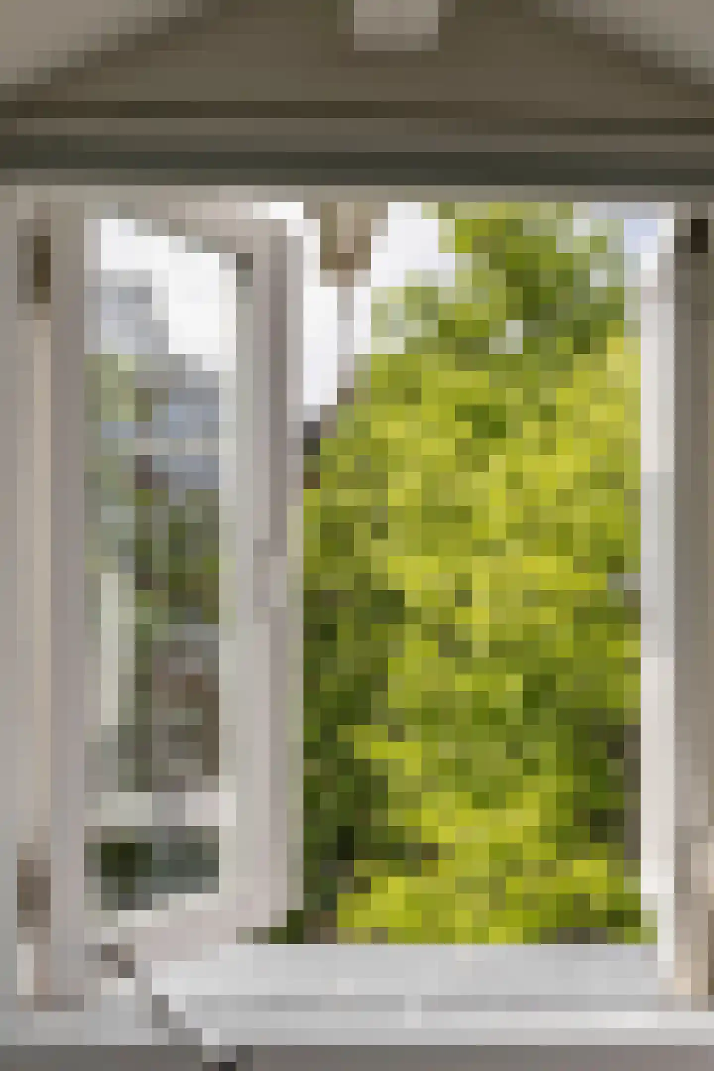 Lijnbaansgracht 81 Amsterdam thumbnail 27