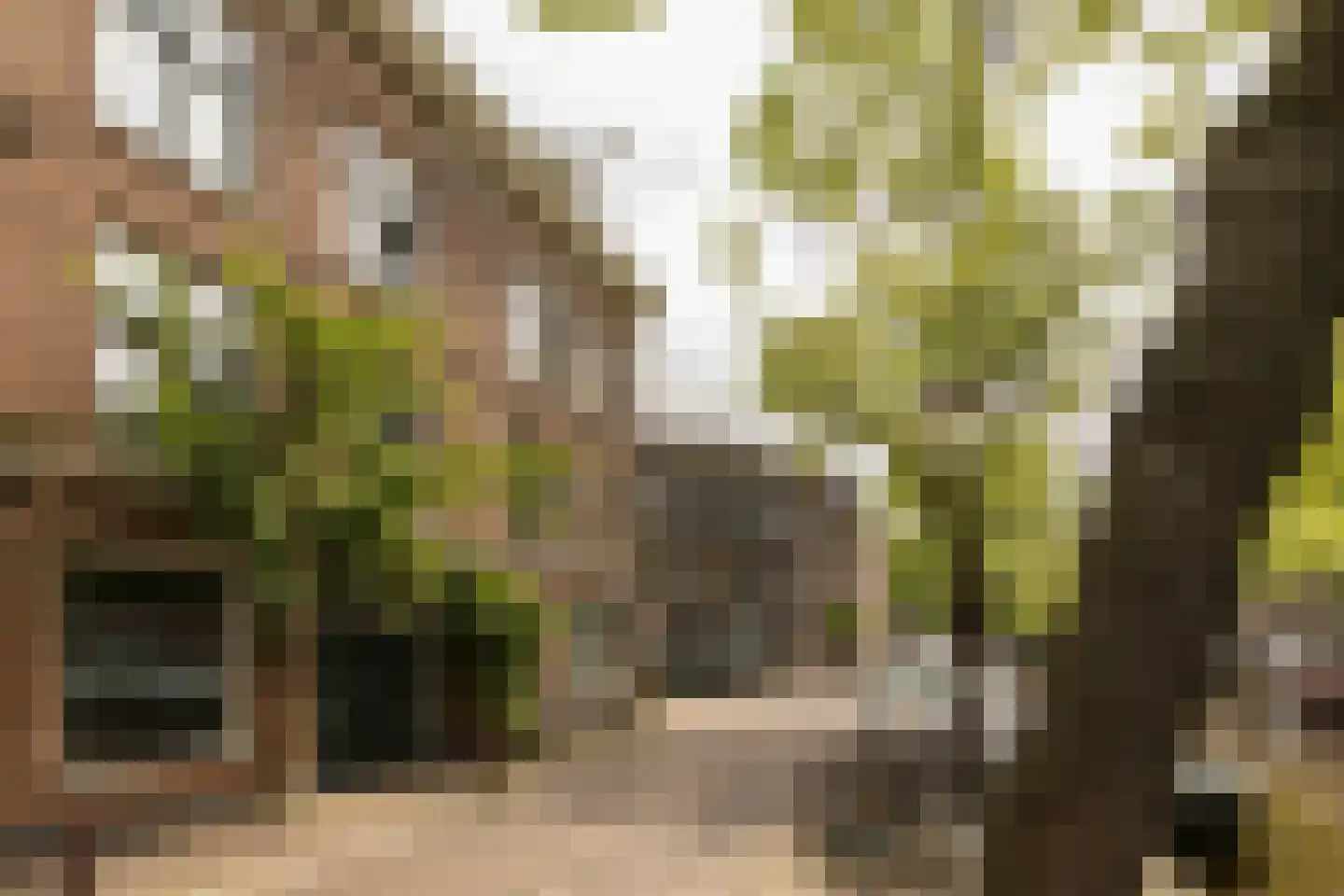 Lijnbaansgracht 81 Amsterdam thumbnail 32