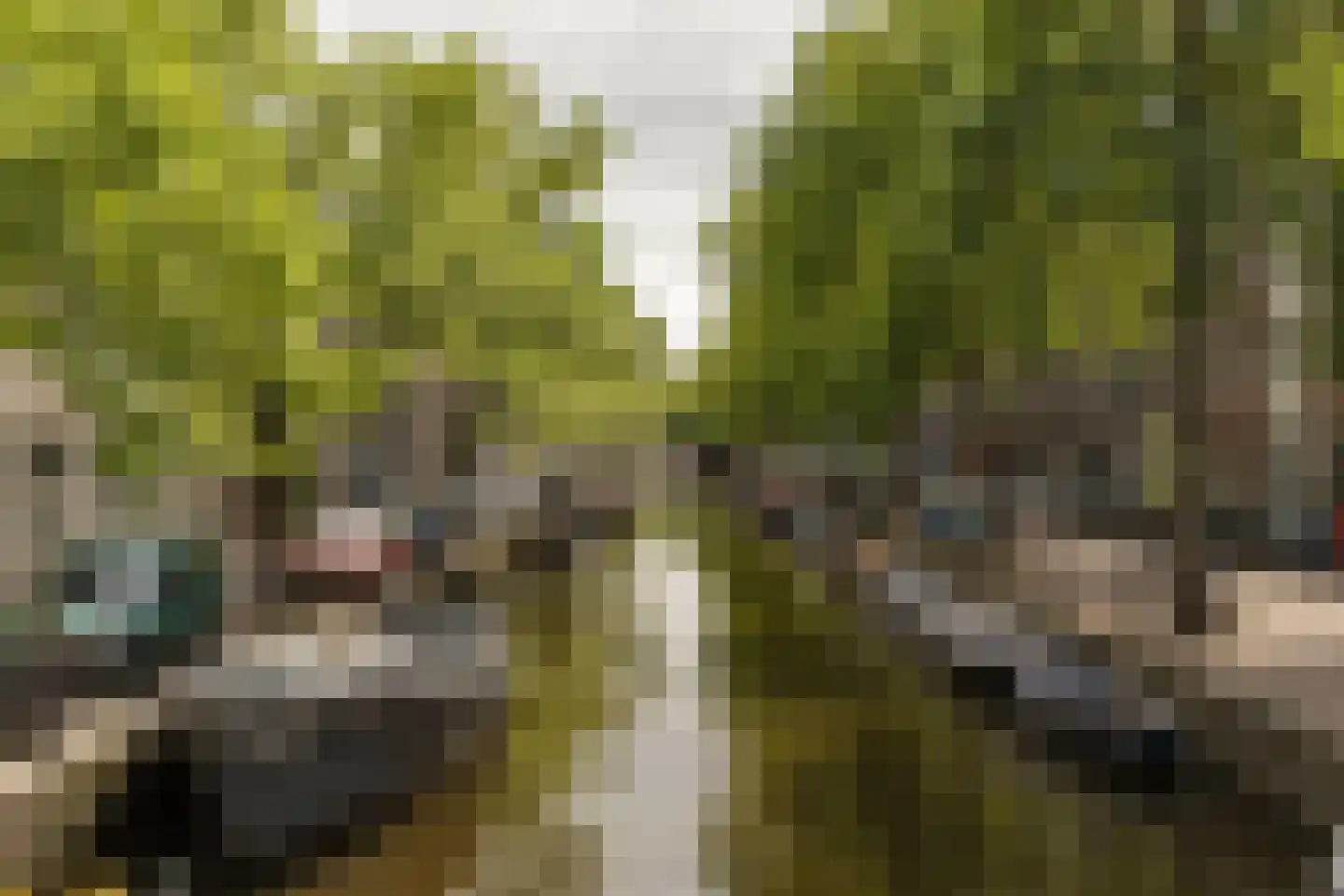 Lijnbaansgracht 81 Amsterdam thumbnail 34