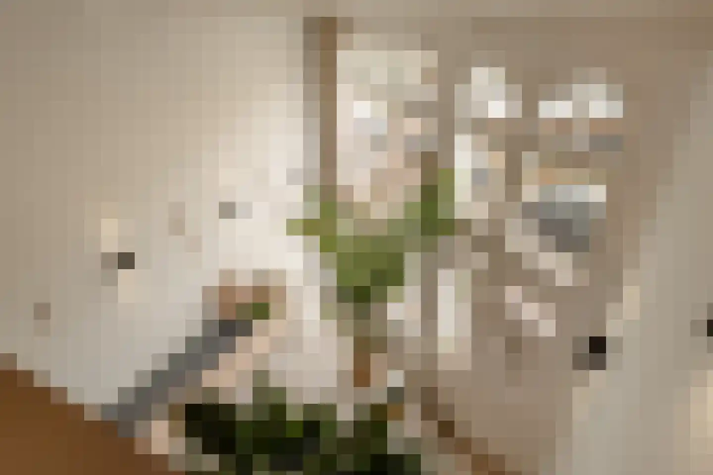 Lijnbaansgracht 90 Amsterdam thumbnail 16
