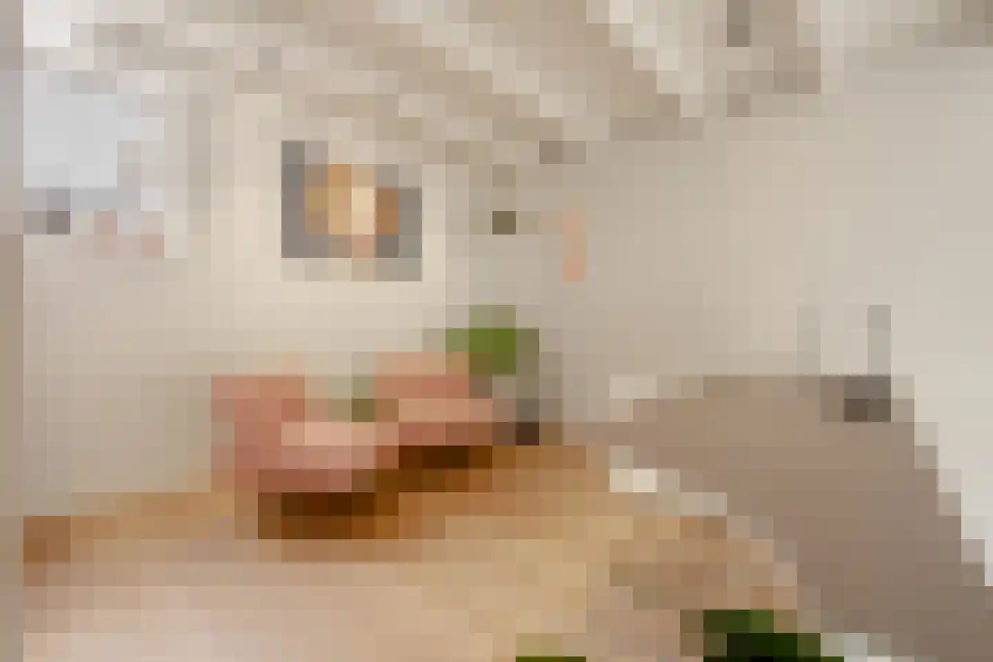 Lijnbaansgracht 90 Amsterdam thumbnail 18
