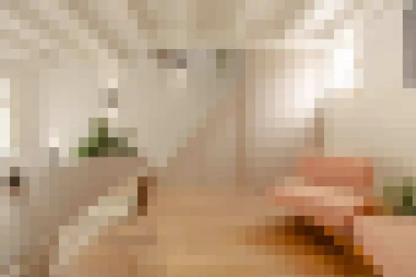 Lijnbaansgracht 90 Amsterdam thumbnail 19